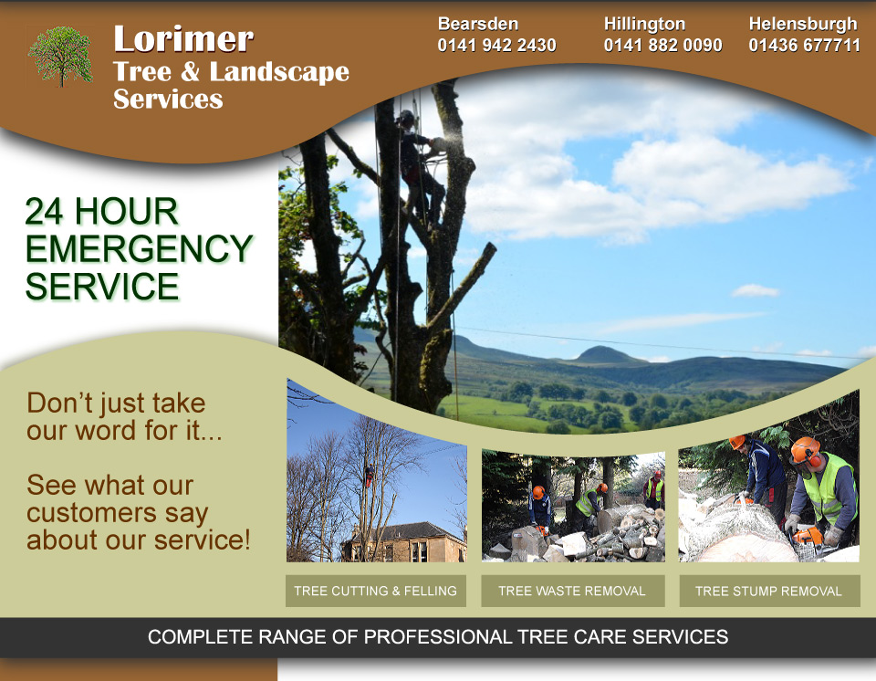 Tree Surgeons Glasgow